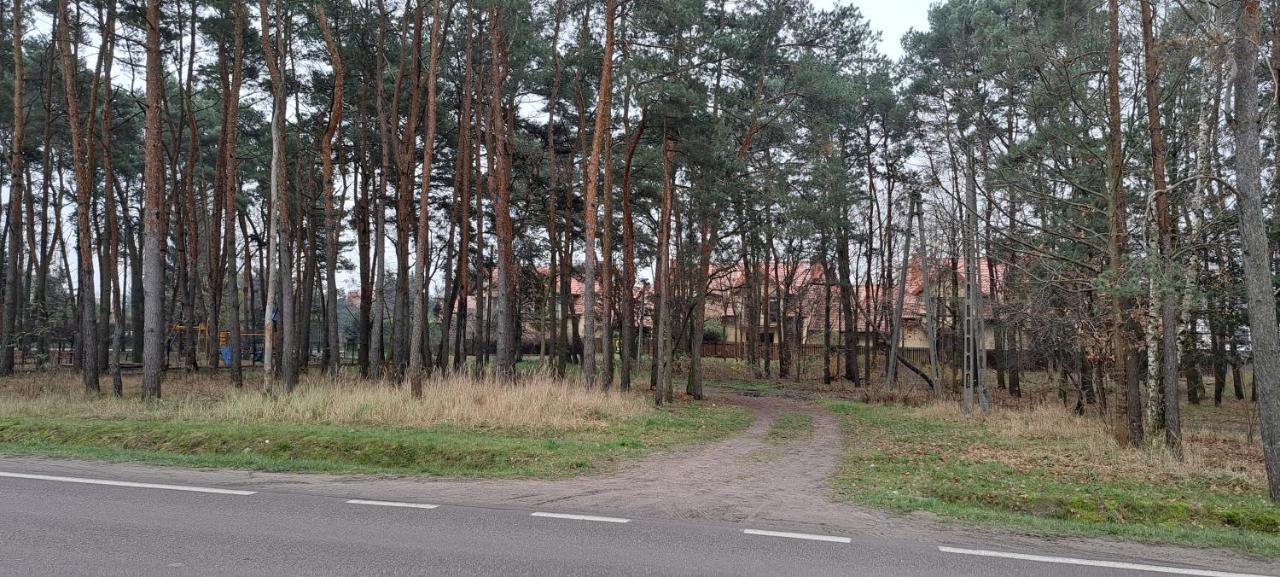 Hostel Dom Dworkowa